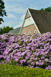 Artlandhof mit Rhododendron