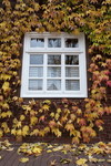 Herbstliches Fenster