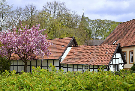 Fachwerk mit Nelkenkirsche