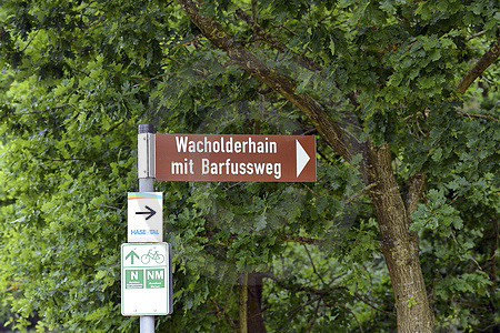 Wacholderhain mit Barfussweg
