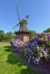 Windmühle in Bad Zwischenahn