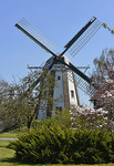 Windmühle Oltmanns in Westerscheps