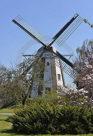 Windmühle Oltmanns in Westerscheps