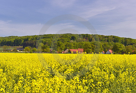 Landschaft bei Ostercappeln-Venne