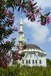Moschee und Oleander