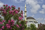 Moschee und Oleander