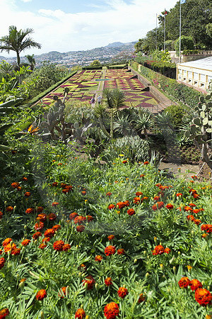 Botanischer Garten Funchal