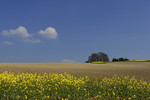Agrar-Landschaft