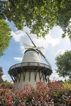 Windmühle Glandorf