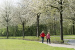 Kirschblüte in Hagen a.T.W.