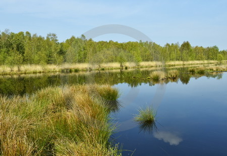 Moor-Impressionen