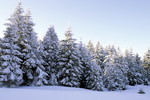 Winterlandschaft an der Harz-Hochstrasse