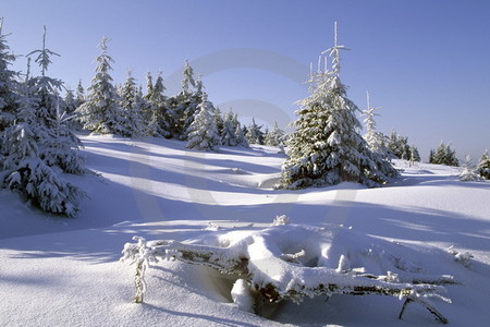Winterlandschaft im Harz