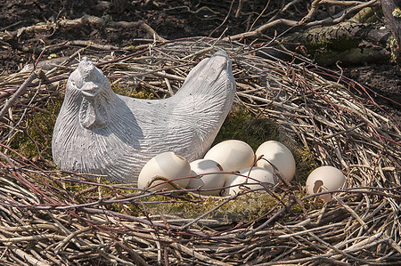 Huhn mit Eiern im Nest