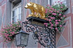 Gasthof zum Roten Bären in Freiburg