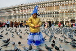 Taubenfütterung a la Venedig