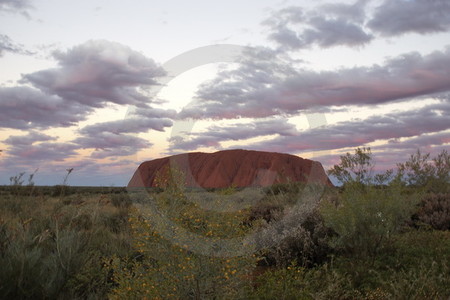 Uluru im Abendlicht
