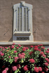 Fenster und Hortensien