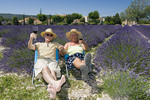 Provence-Feeling