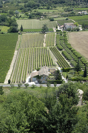 Landschaft bei Ménerbes