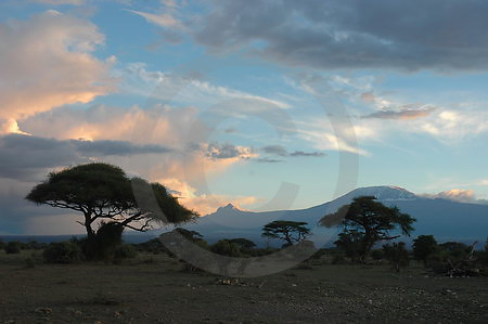 Abendstimmung im Amboseli Nationalpark