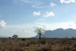 Nationalpark Tsavo West