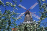 Windmühle im Alten Land