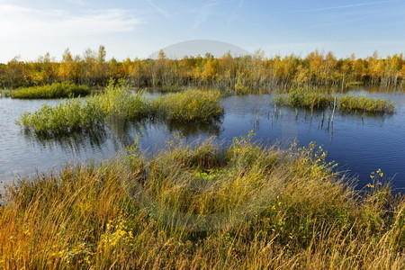 Landschaft im Naturpark Burtanger Moor-Bargerveen