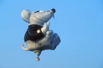 Heissluftballon 'Didl-Maus'