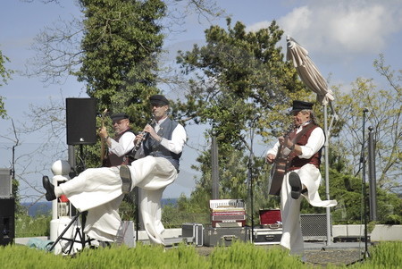 Musikanten in Sellin