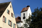 Storchennest im Breisgau