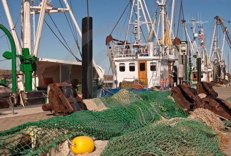 Krabbenkutter in Westeraccumersiel