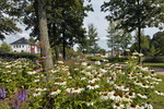 Blumenrabatten im Kurpark