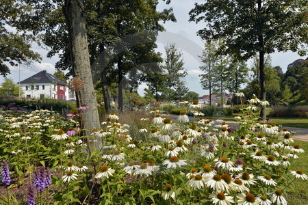 Blumenrabatten im Kurpark