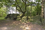 Grosssteingrab Am Wiemelsberg (8)