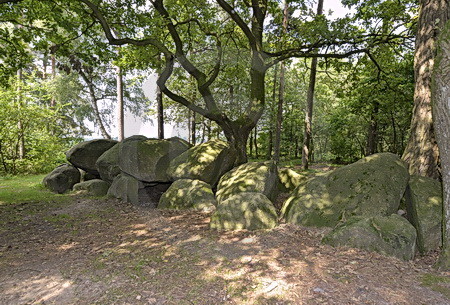 Grosssteingrab Am Wiemelsberg (8)